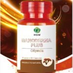 HGW Ganoderma Plus