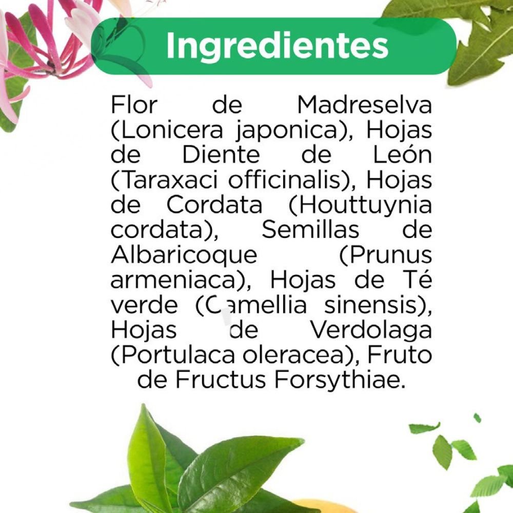 Jinpure Tea - Image 3